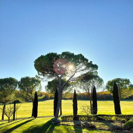 Fattoria Agriturismo Nerbona Casole dʼElsa Eksteriør bilde