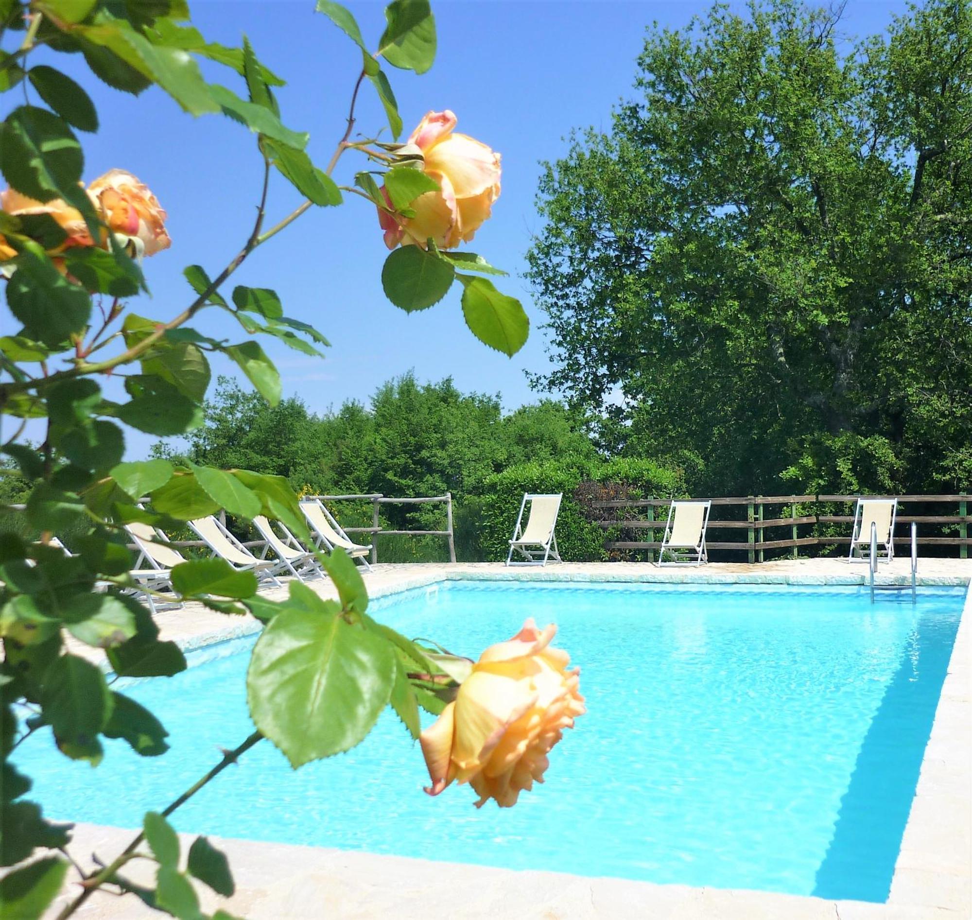 Fattoria Agriturismo Nerbona Villa Casole dʼElsa Eksteriør bilde