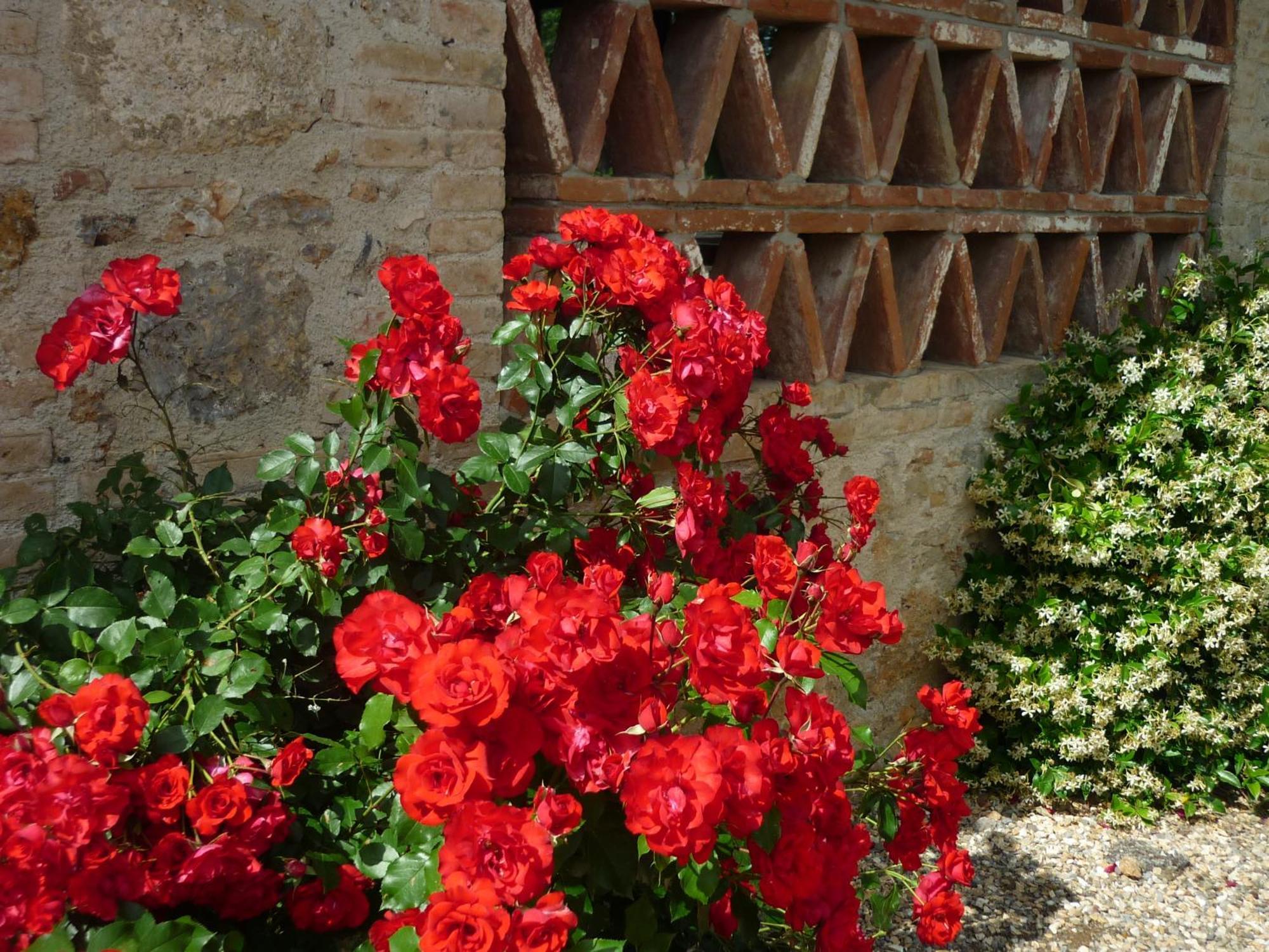 Fattoria Agriturismo Nerbona Casole dʼElsa Eksteriør bilde