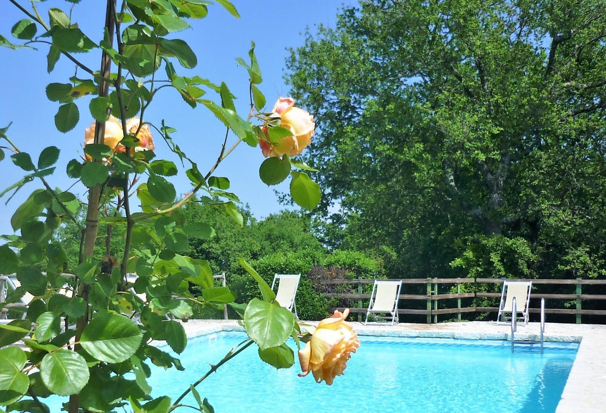 Fattoria Agriturismo Nerbona Casole dʼElsa Eksteriør bilde