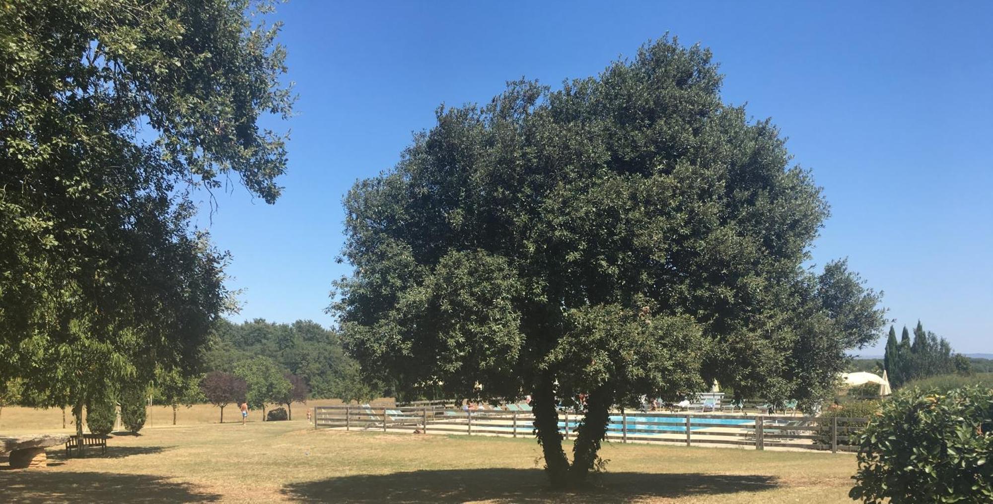 Fattoria Agriturismo Nerbona Villa Casole dʼElsa Eksteriør bilde