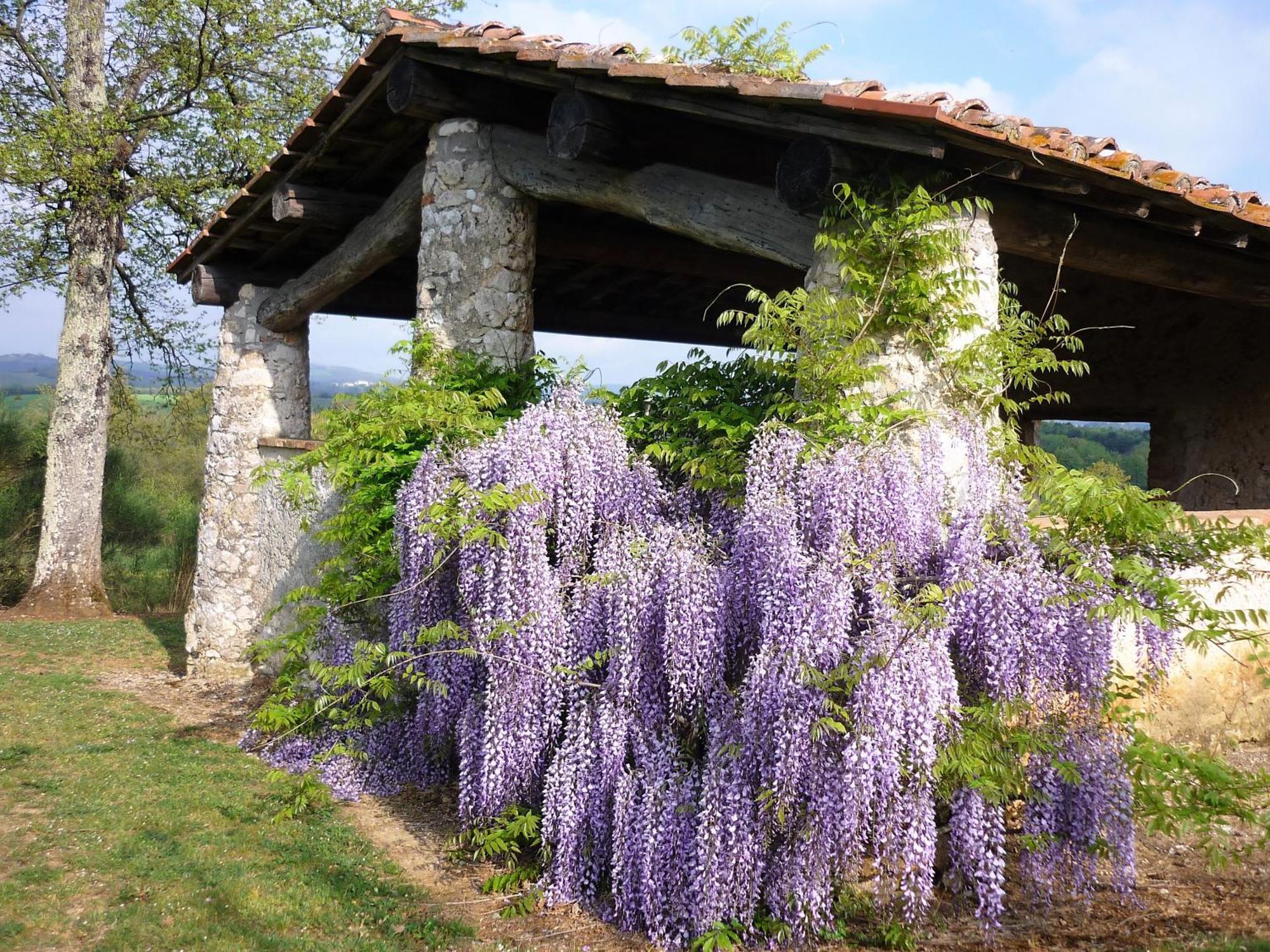 Fattoria Agriturismo Nerbona Casole dʼElsa Eksteriør bilde