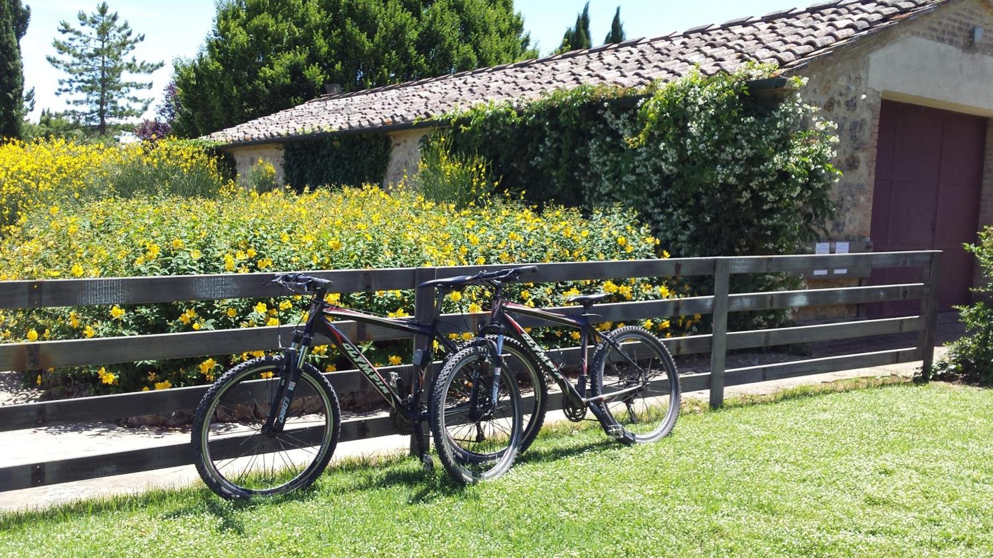 Fattoria Agriturismo Nerbona Casole dʼElsa Eksteriør bilde